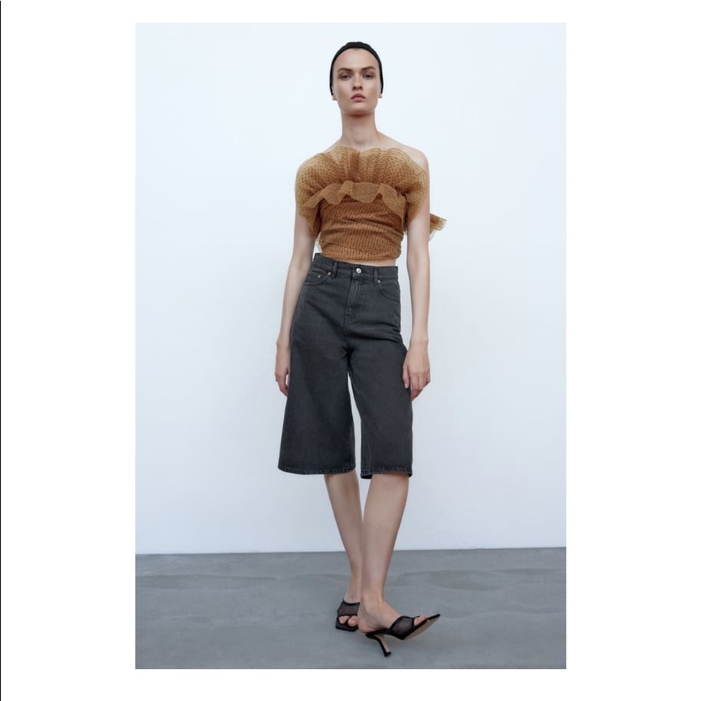 NWT Zara Tulle Crop Top Ballet Tutu in XS $69